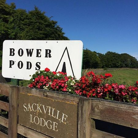 Bower Pods 호텔 Bowermadden 외부 사진